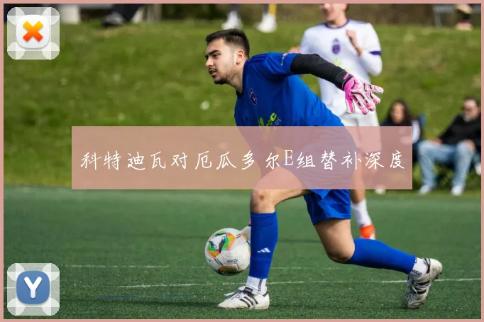 科特迪瓦对厄瓜多尔E组替补深度