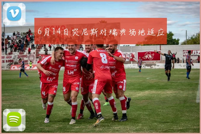 6月14日突尼斯对瑞典场地适应