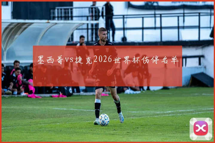 墨西哥vs捷克2026世界杯伤停名单