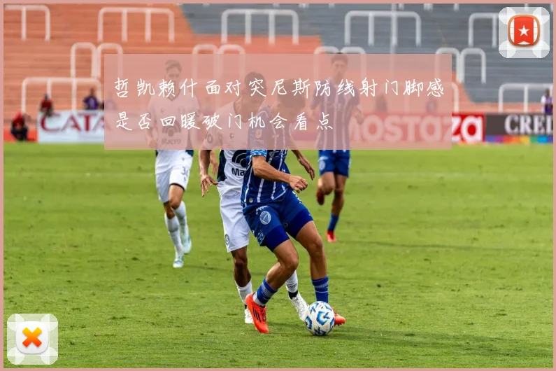 哲凯赖什面对突尼斯防线射门脚感是否回暖破门机会看点
