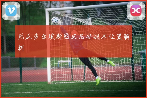 厄瓜多尔埃斯图皮尼安战术位置解析