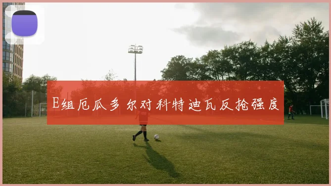 E组厄瓜多尔对科特迪瓦反抢强度