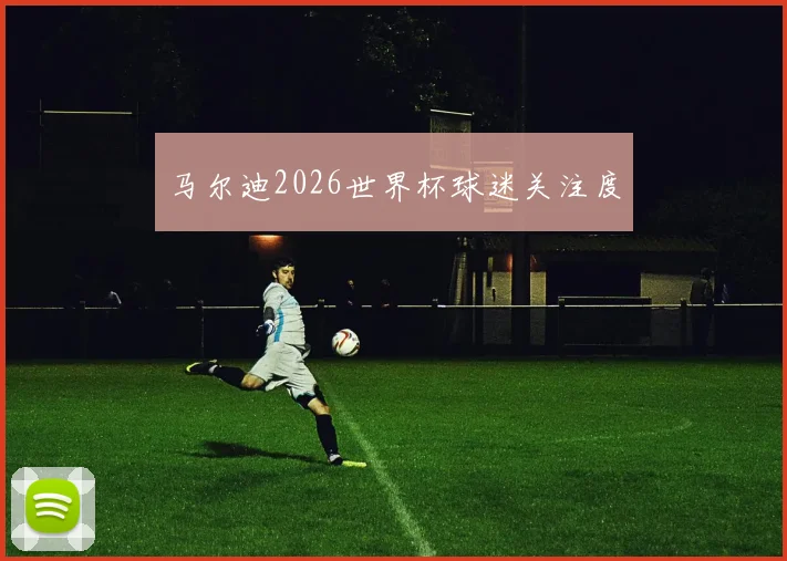 马尔迪2026世界杯球迷关注度