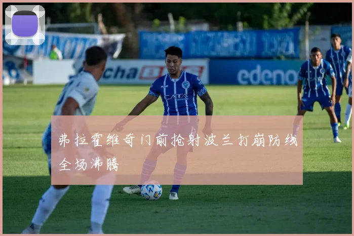 弗拉霍维奇门前抢射波兰打崩防线全场沸腾