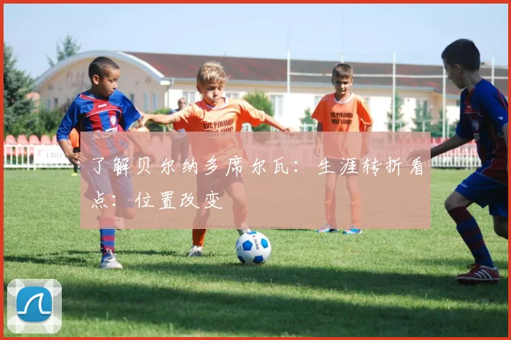 了解贝尔纳多席尔瓦：生涯转折看点：位置改变