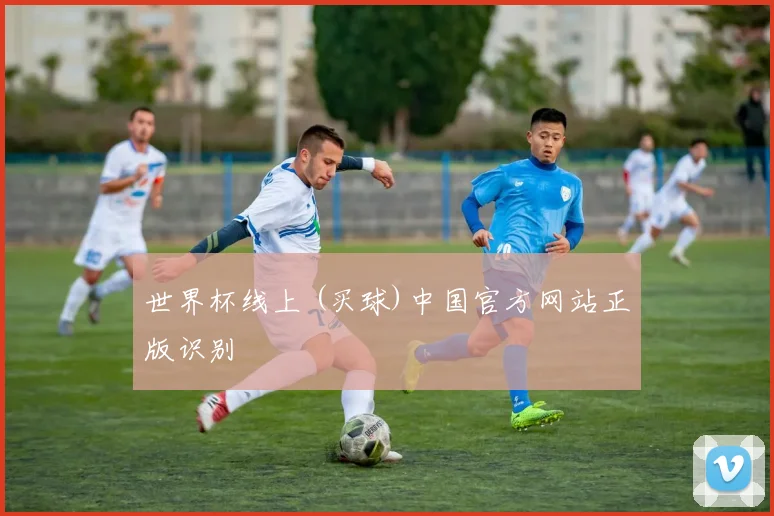 世界杯线上 (买球)中国官方网站正版识别