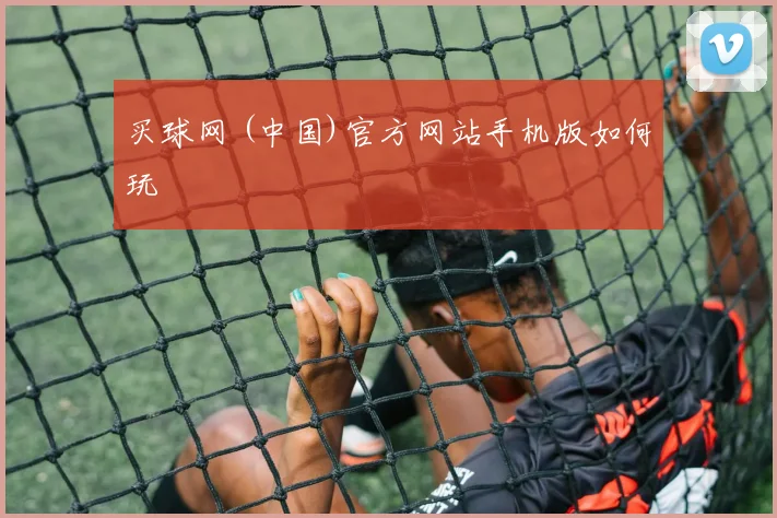 买球网 (中国)官方网站手机版如何玩